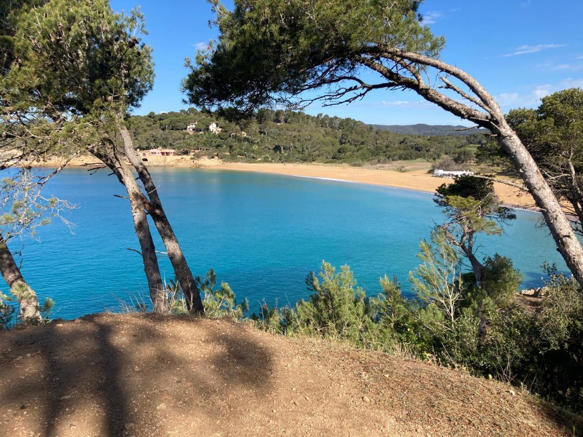 Apartamento Floral Al Centro De Palamos Con Wi-Fi Zewnętrze zdjęcie